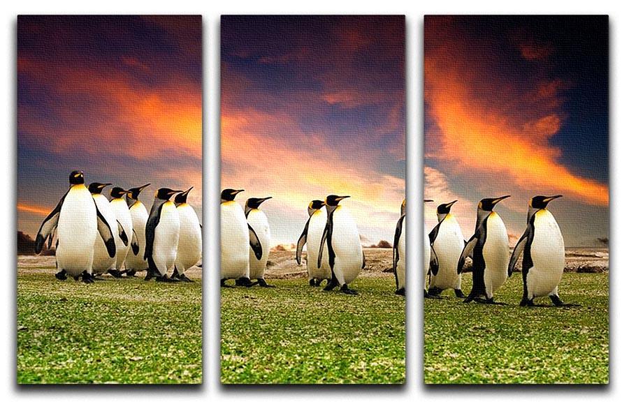 King Penguins in the Falkland Islands 3 Split Panel Canvas Print - Canvas Art Rocks - 1