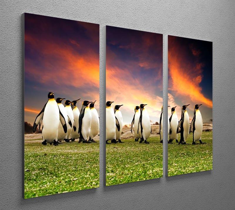 King Penguins in the Falkland Islands 3 Split Panel Canvas Print - Canvas Art Rocks - 2
