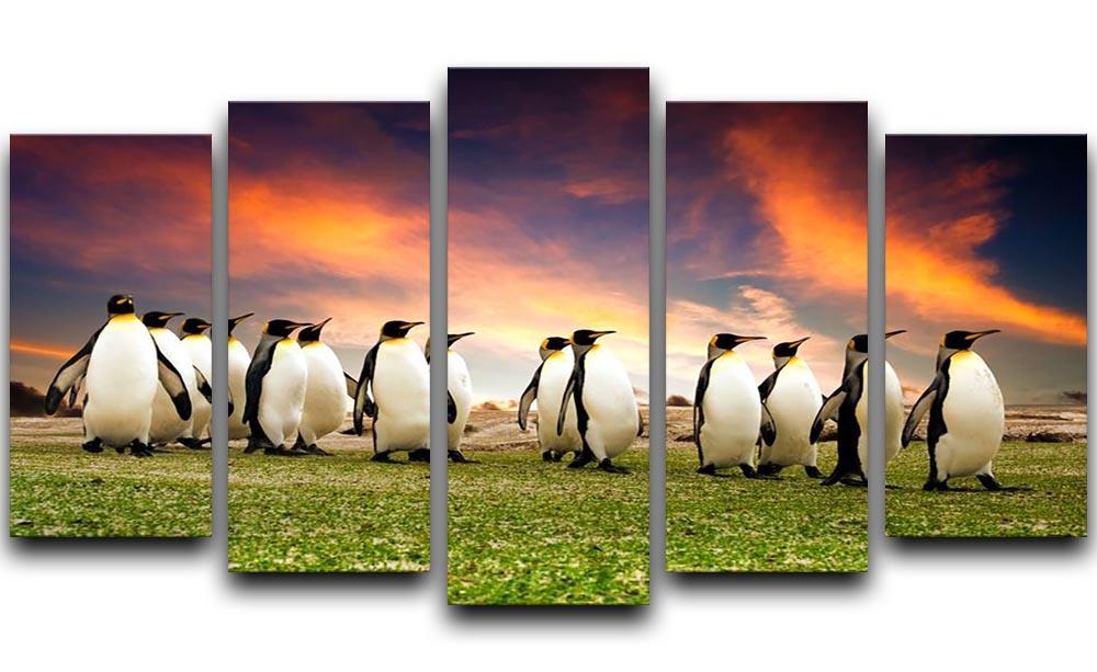 King Penguins in the Falkland Islands 5 Split Panel Canvas - Canvas Art Rocks - 1