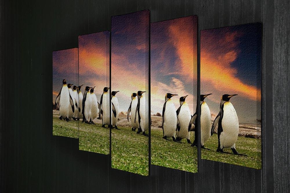 King Penguins in the Falkland Islands 5 Split Panel Canvas - Canvas Art Rocks - 2