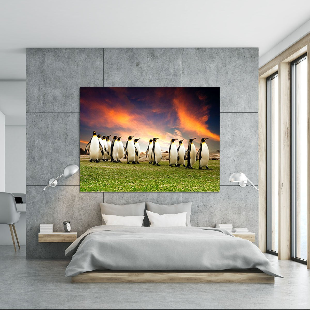 King Penguins in the Falkland Islands Canvas Print or Poster