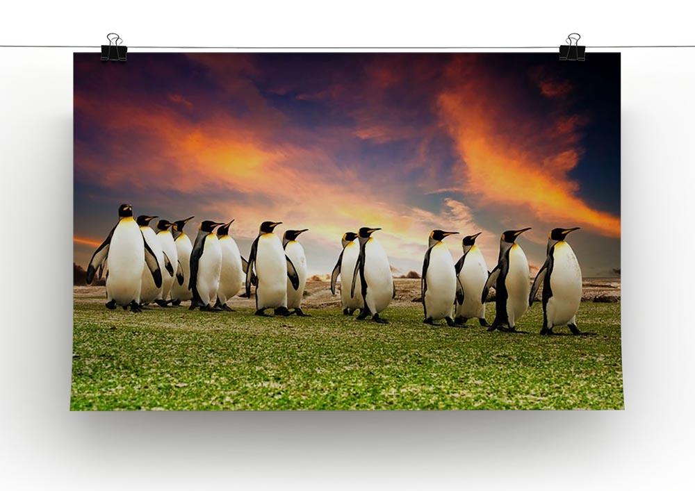 King Penguins in the Falkland Islands Canvas Print or Poster - Canvas Art Rocks - 2