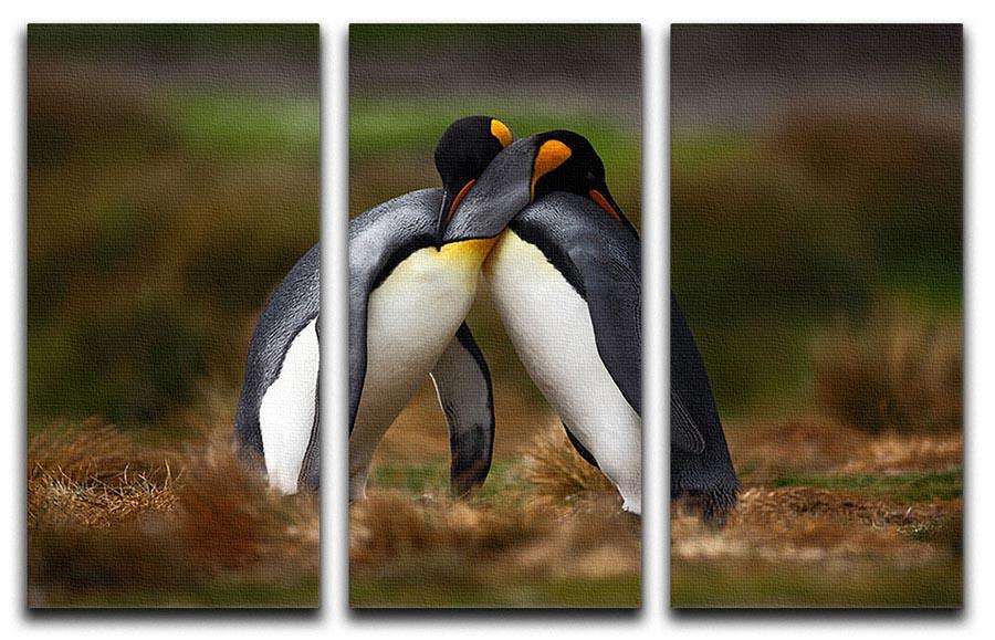 King penguin couple cuddling 3 Split Panel Canvas Print - Canvas Art Rocks - 1