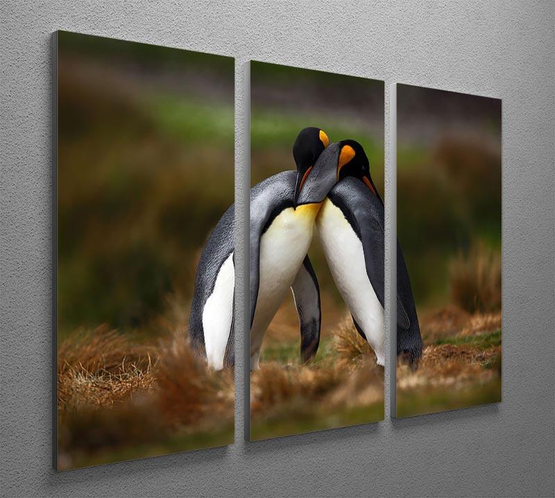 King penguin couple cuddling 3 Split Panel Canvas Print - Canvas Art Rocks - 2