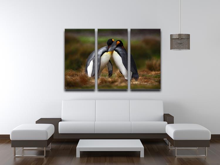 King penguin couple cuddling 3 Split Panel Canvas Print - Canvas Art Rocks - 3