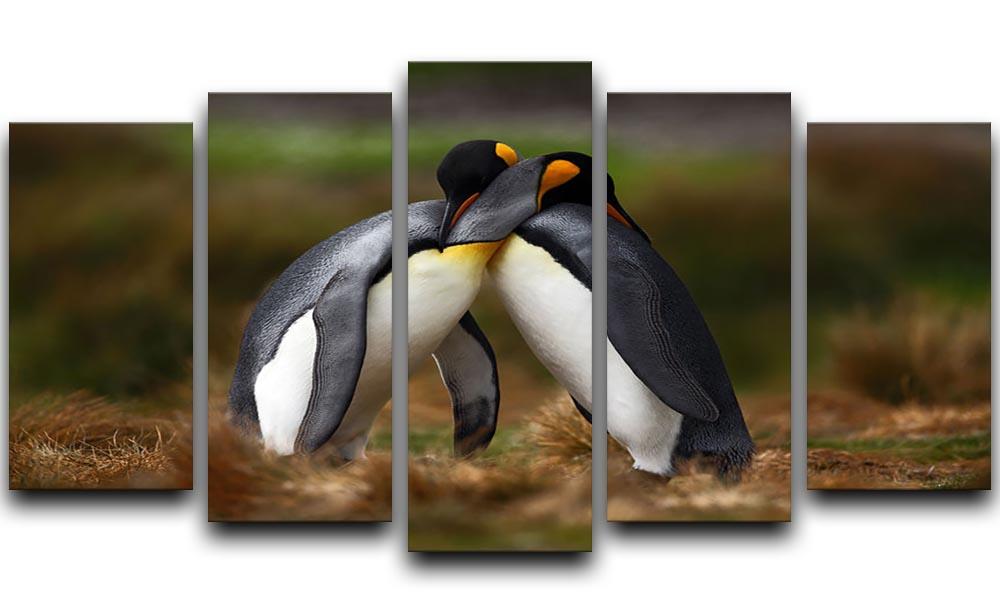King penguin couple cuddling 5 Split Panel Canvas - Canvas Art Rocks - 1