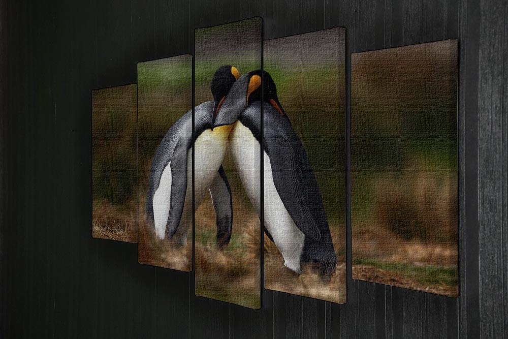 King penguin couple cuddling 5 Split Panel Canvas - Canvas Art Rocks - 2