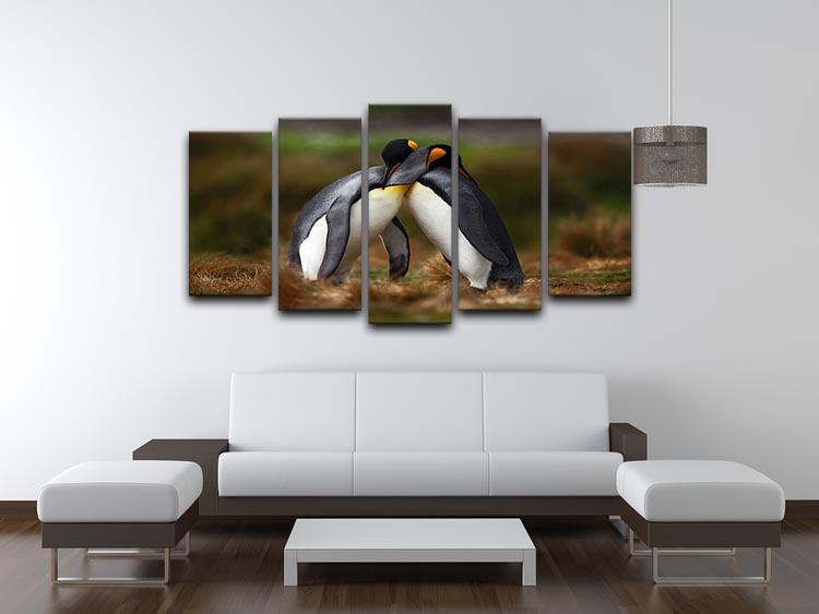 King penguin couple cuddling 5 Split Panel Canvas - Canvas Art Rocks - 3