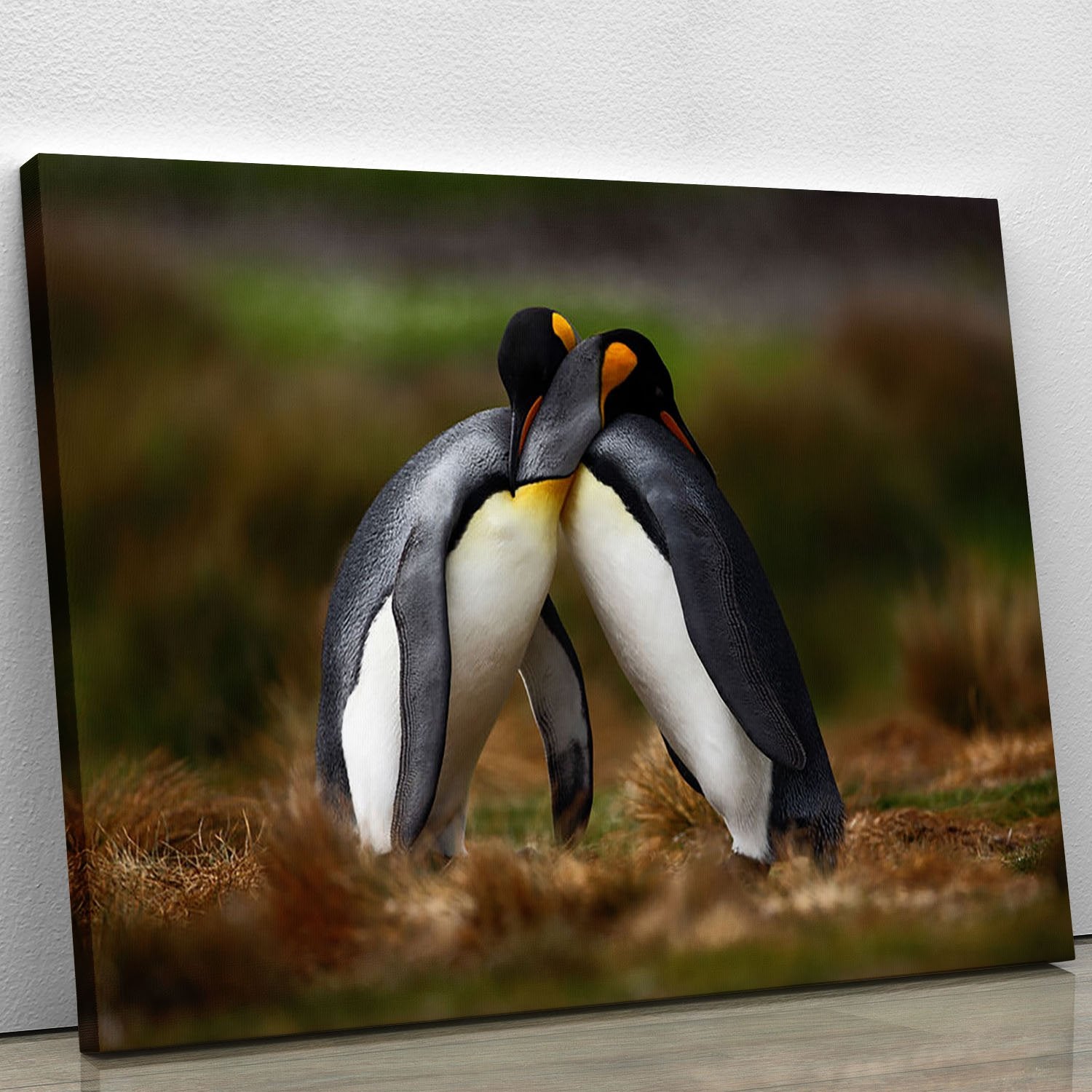King penguin couple cuddling Canvas Print or Poster