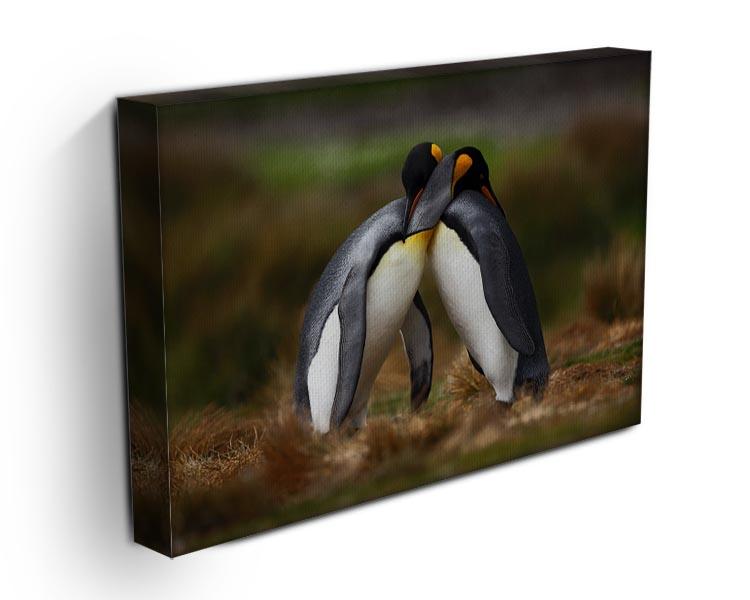 King penguin couple cuddling Canvas Print or Poster - Canvas Art Rocks - 3