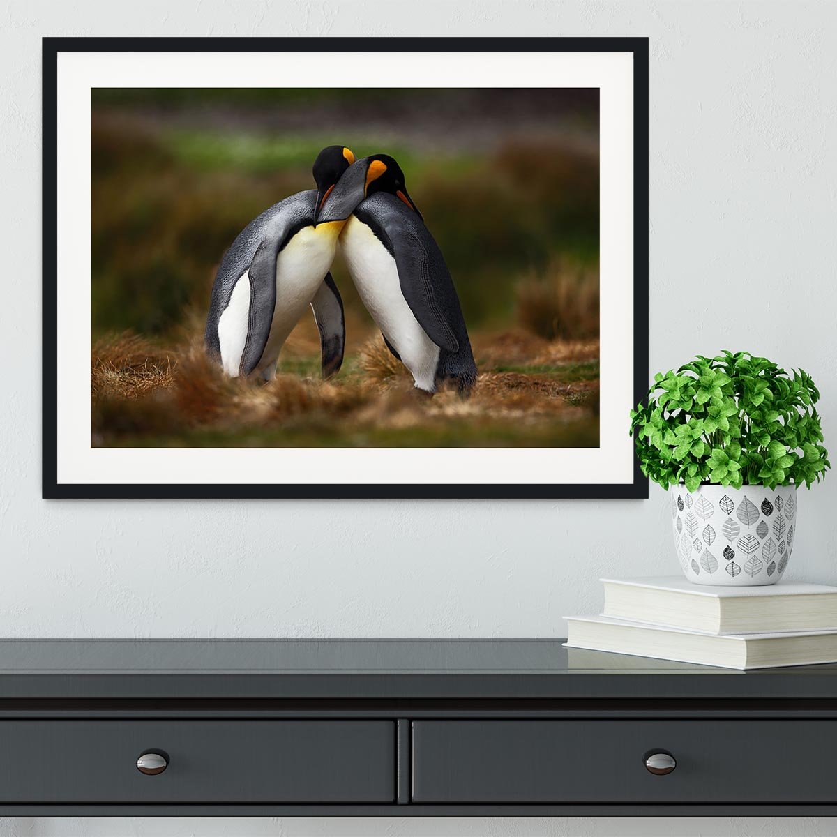 King penguin couple cuddling Framed Print - Canvas Art Rocks - 1