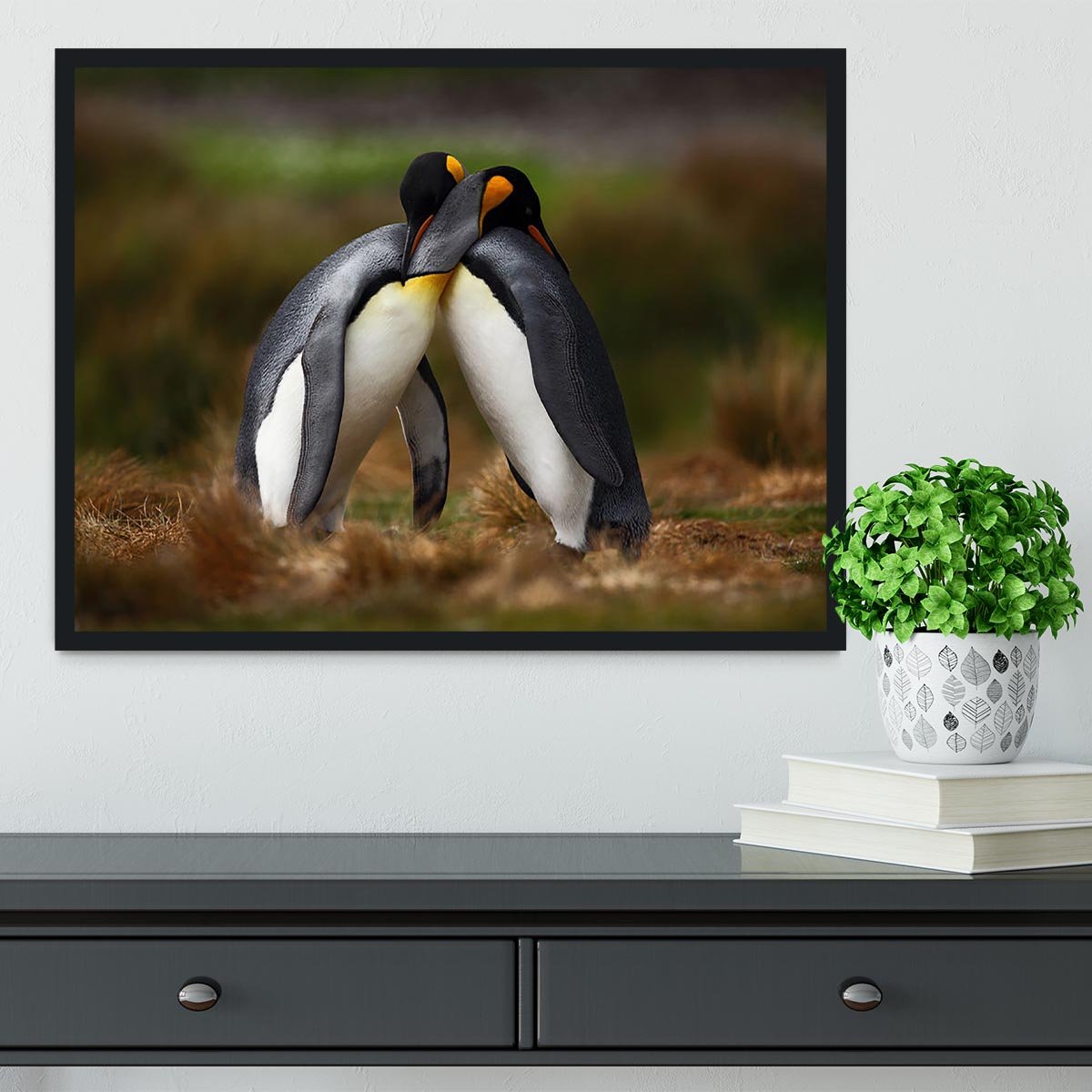 King penguin couple cuddling Framed Print - Canvas Art Rocks - 2
