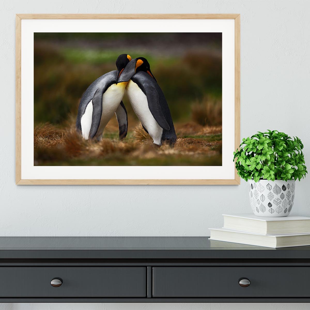 King penguin couple cuddling Framed Print - Canvas Art Rocks - 3