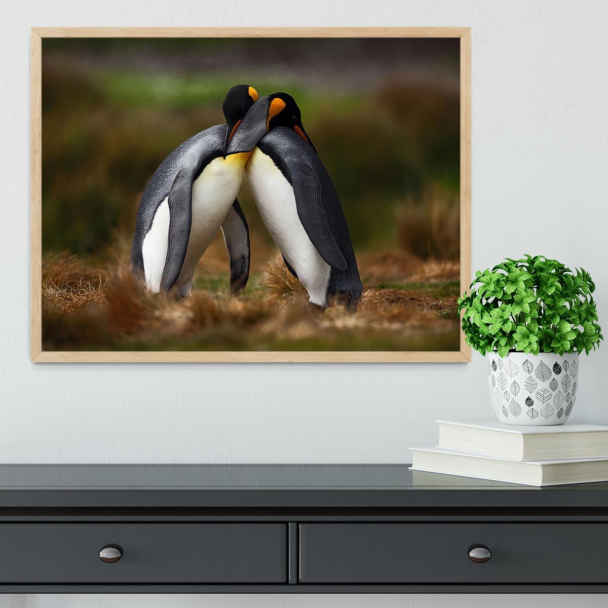 King penguin couple cuddling Framed Print - Canvas Art Rocks - 4