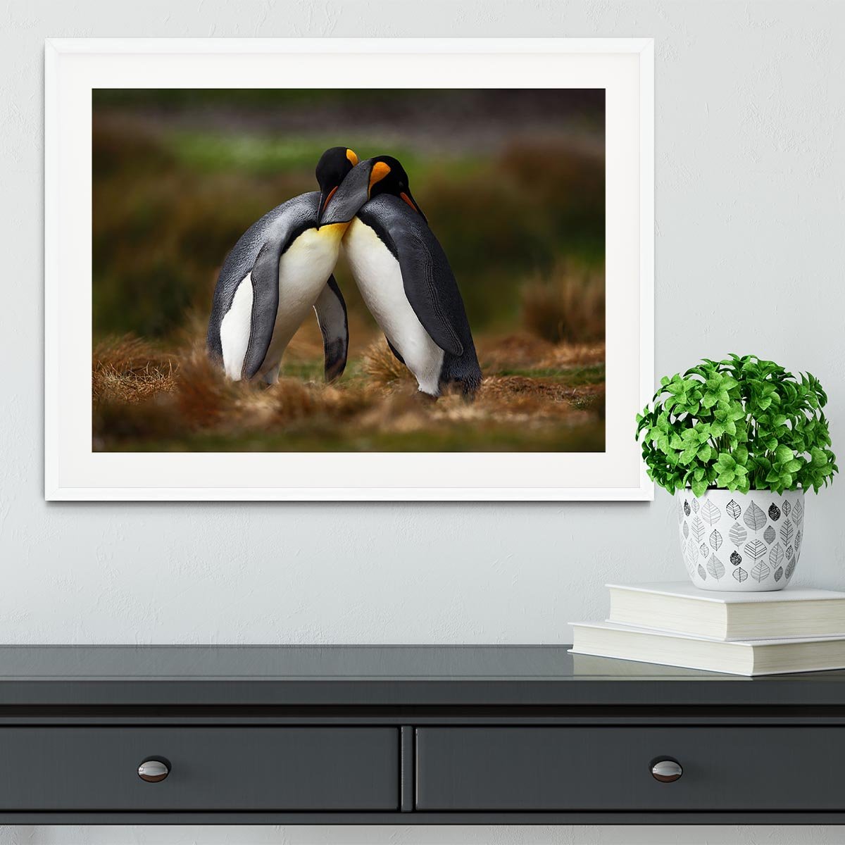 King penguin couple cuddling Framed Print - Canvas Art Rocks - 5