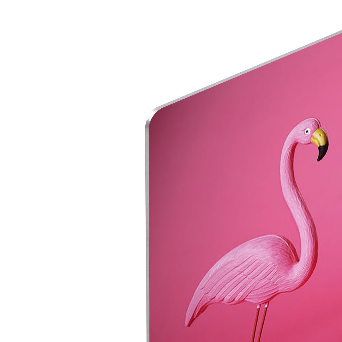 Kitsch pink flamingo in studio HD Metal Print - Canvas Art Rocks - 4