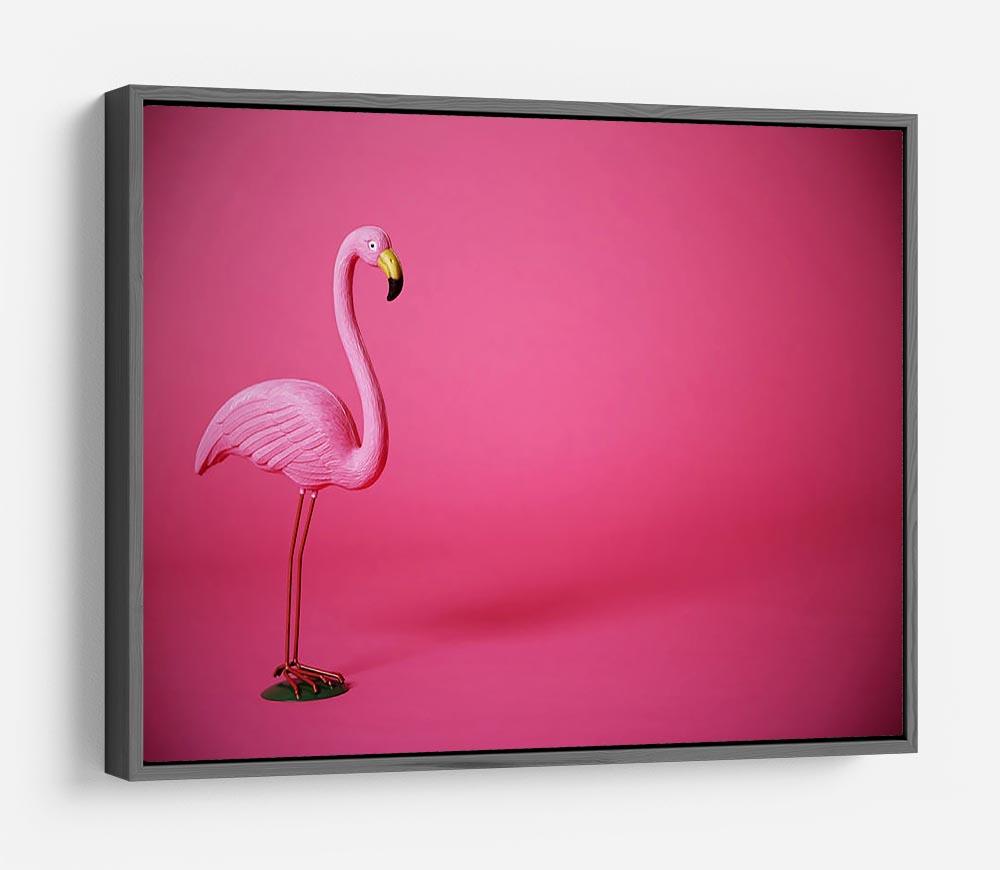 Kitsch pink flamingo in studio HD Metal Print - Canvas Art Rocks - 9