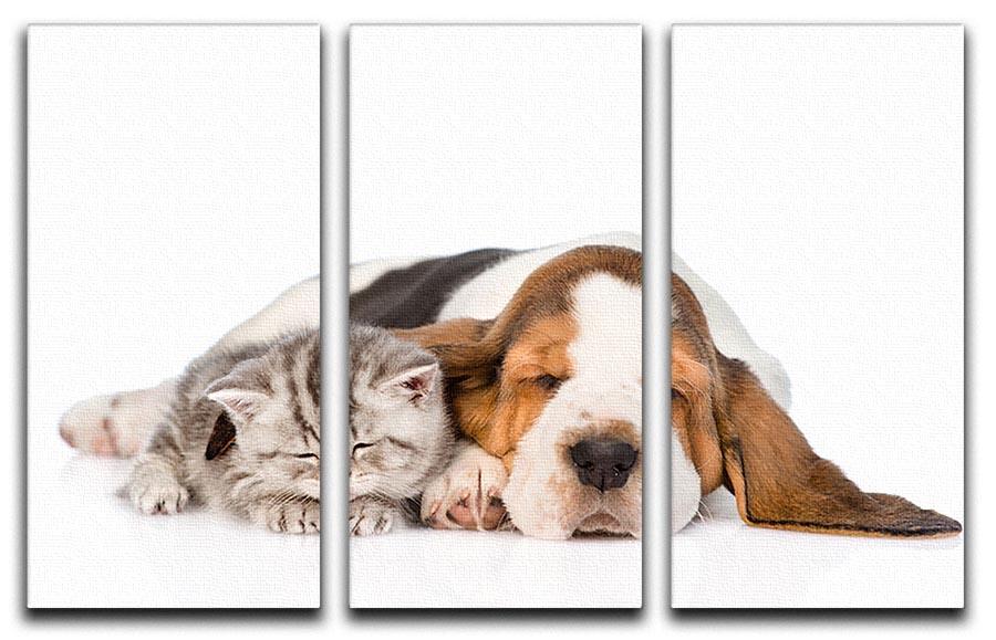 Kitten and puppy sleeping together. isolated on white background 3 Split Panel Canvas Print - Canvas Art Rocks - 1