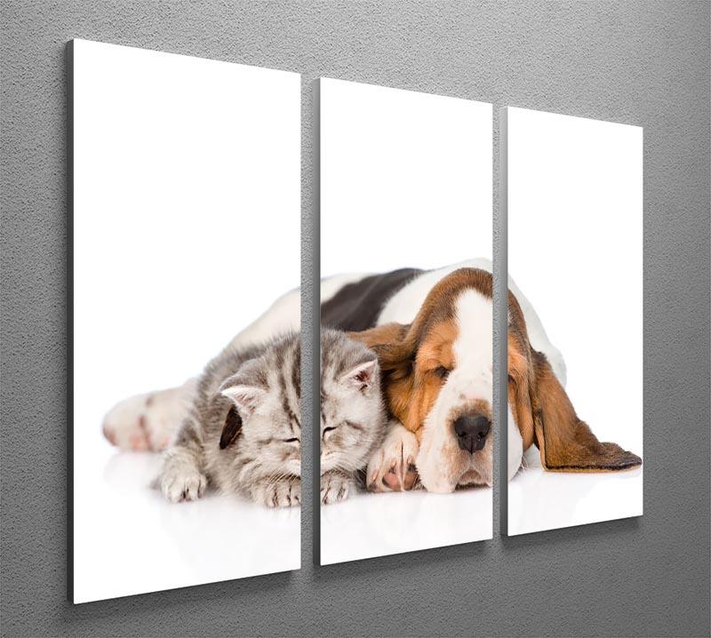 Kitten and puppy sleeping together. isolated on white background 3 Split Panel Canvas Print - Canvas Art Rocks - 2