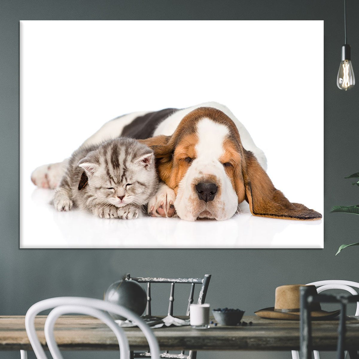 Kitten and puppy sleeping together. isolated on white background Canvas Print or Poster