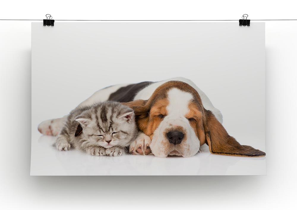 Kitten and puppy sleeping together. isolated on white background Canvas Print or Poster - Canvas Art Rocks - 2