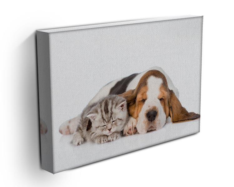 Kitten and puppy sleeping together. isolated on white background Canvas Print or Poster - Canvas Art Rocks - 3