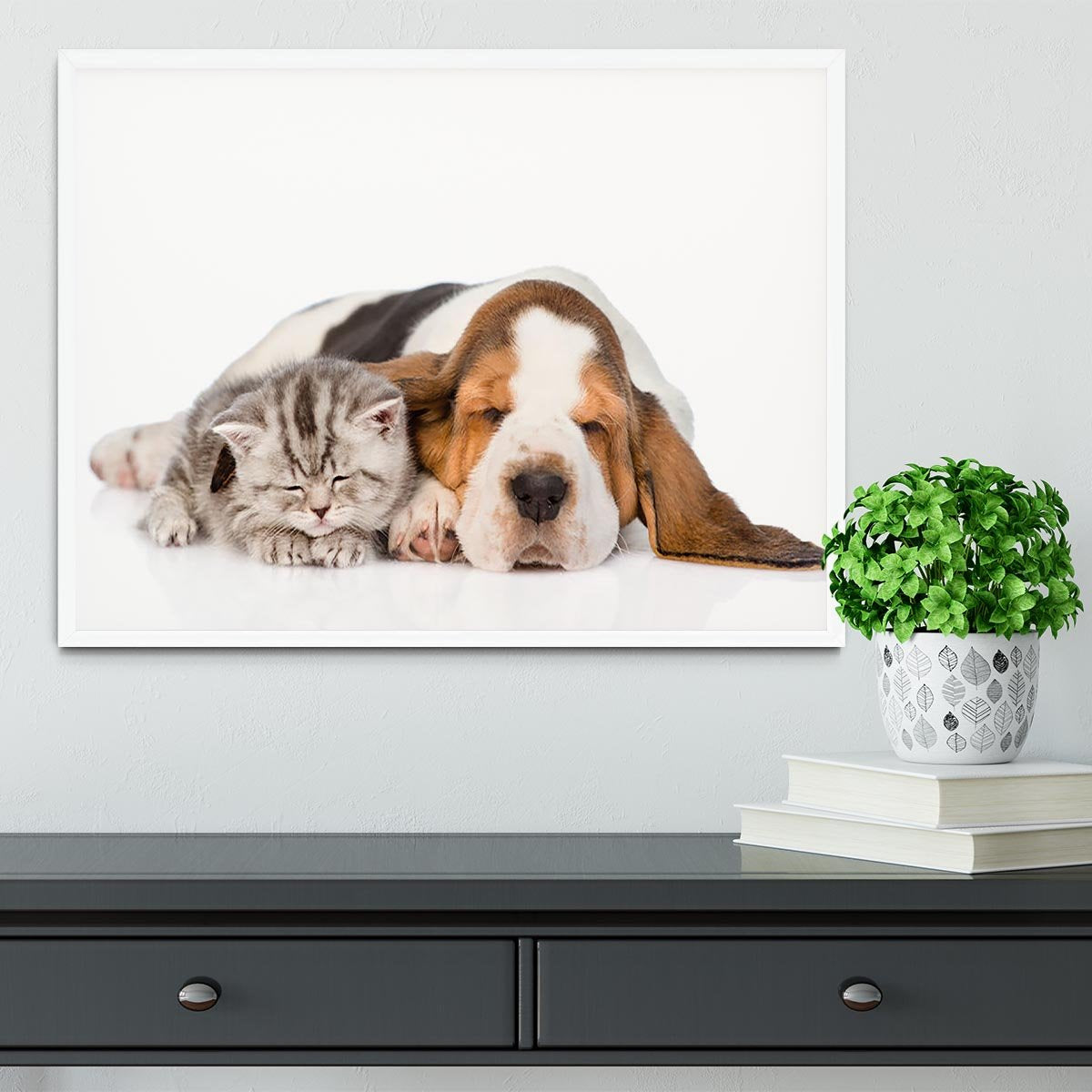 Kitten and puppy sleeping together. isolated on white background Framed Print - Canvas Art Rocks -6
