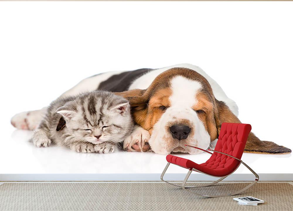 sleeping cat and dog wallpaper