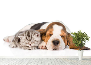 Kitten and puppy sleeping together. isolated on white background Wall Mural Wallpaper - Canvas Art Rocks - 4