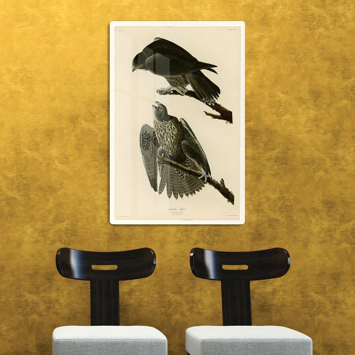 Labrador Falcon by Audubon HD Metal Print - Canvas Art Rocks - 2