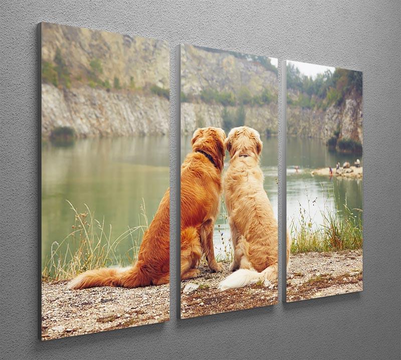 Lake for swimming. Two golden retriever dogs 3 Split Panel Canvas Print - Canvas Art Rocks - 2