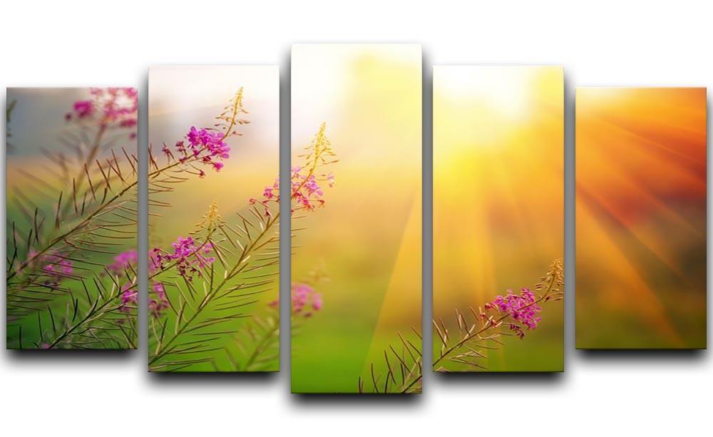 Landscape with Fireweed at sunny summer 5 Split Panel Canvas  - Canvas Art Rocks - 1