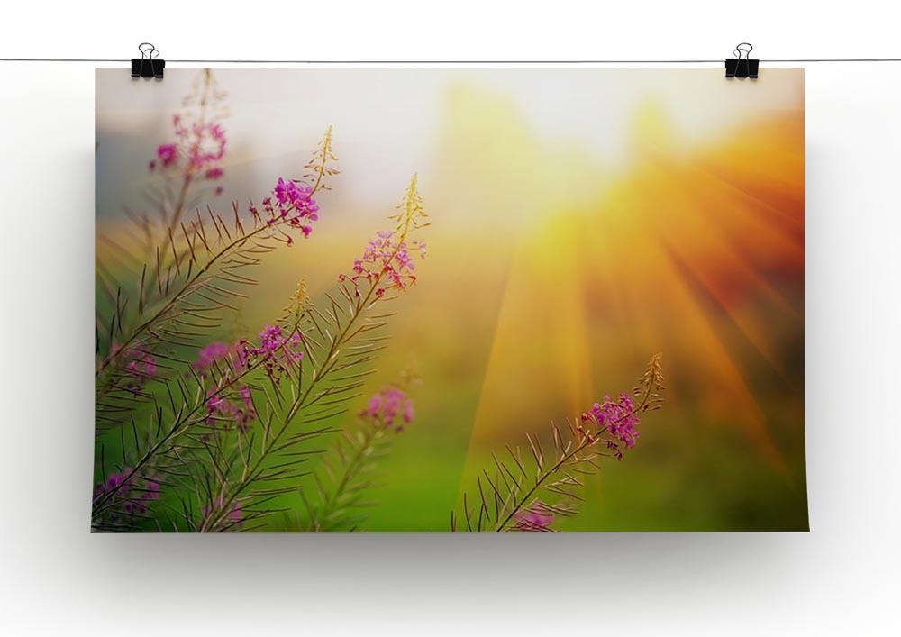 Landscape with Fireweed at sunny summer Canvas Print or Poster - Canvas Art Rocks - 2