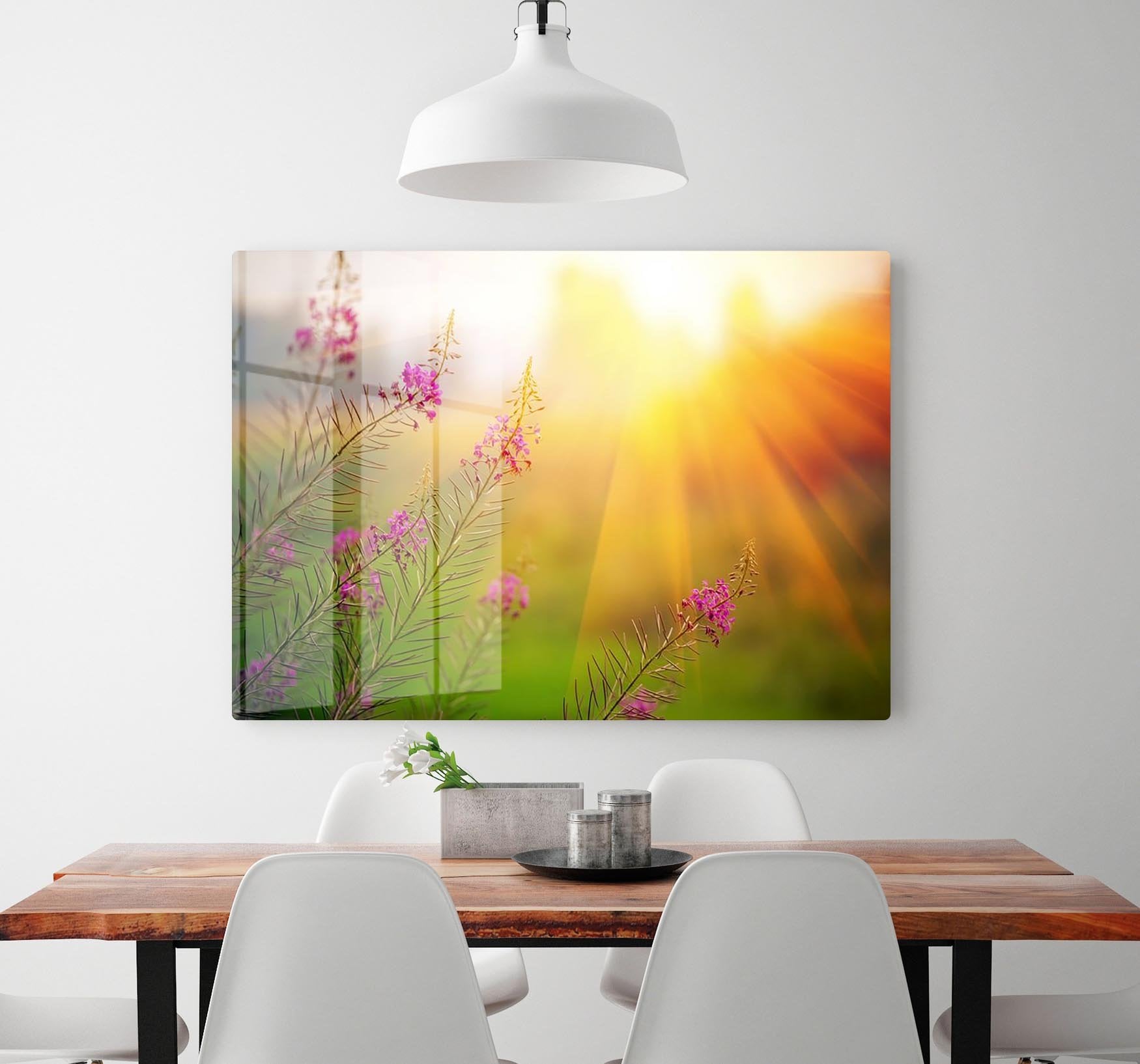Landscape with Fireweed at sunny summer HD Metal Print