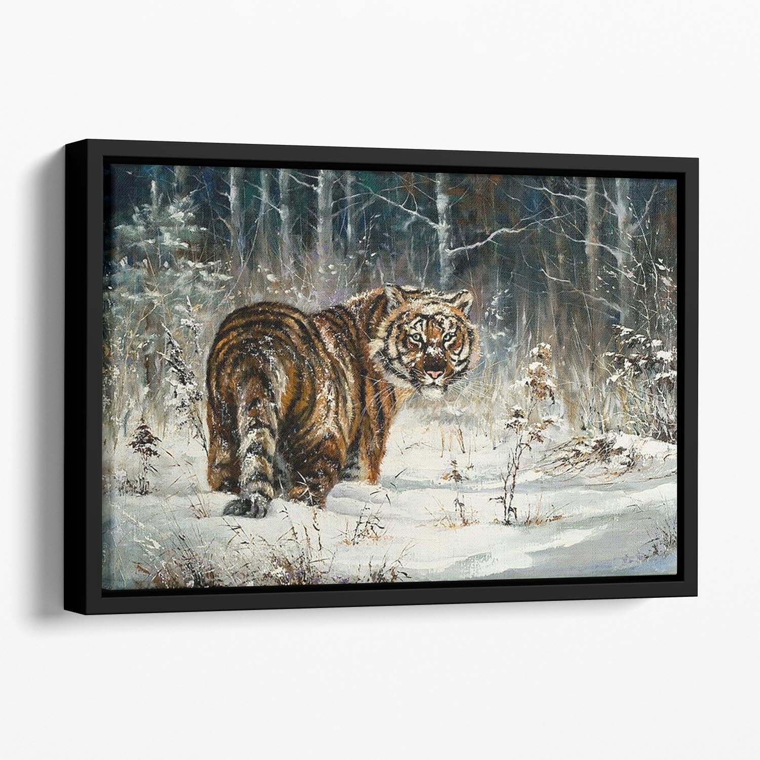 Landscape with a tiger in winter wood Floating Framed Canvas - Canvas Art Rocks - 1