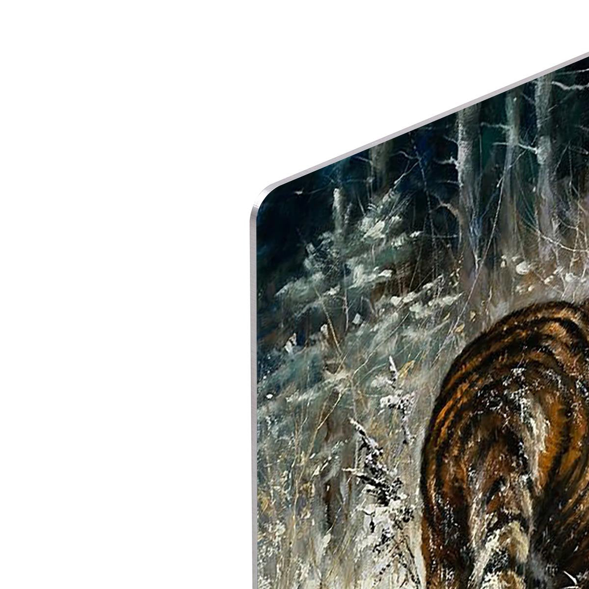 Landscape with a tiger in winter wood HD Metal Print - Canvas Art Rocks - 4