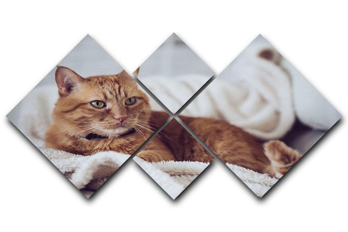 Large home fluffy ginger cat lying on the sofa 4 Square Multi Panel Canvas - Canvas Art Rocks - 1