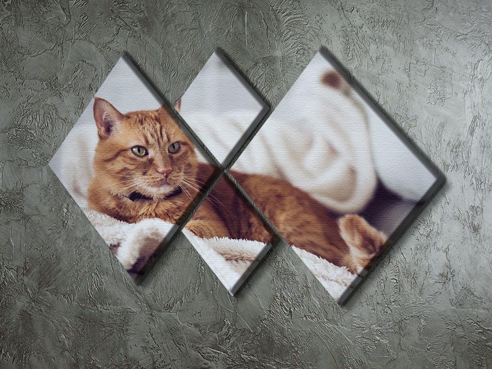 Large home fluffy ginger cat lying on the sofa 4 Square Multi Panel Canvas - Canvas Art Rocks - 2