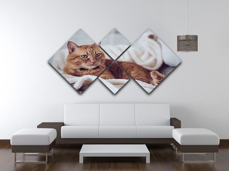 Large home fluffy ginger cat lying on the sofa 4 Square Multi Panel Canvas - Canvas Art Rocks - 3