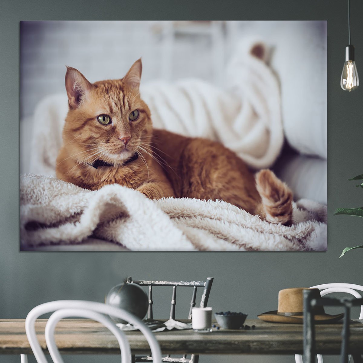 Large home fluffy ginger cat lying on the sofa Canvas Print or Poster