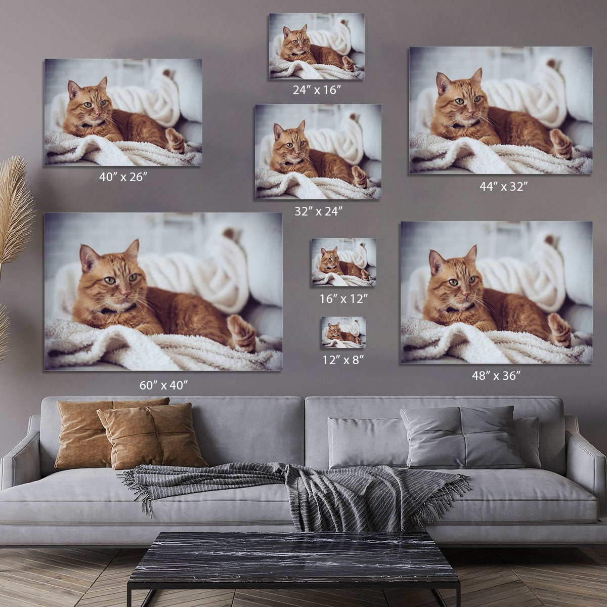 Large home fluffy ginger cat lying on the sofa Canvas Print or Poster