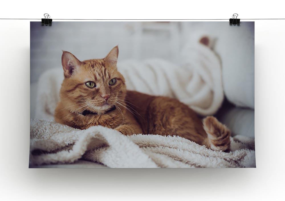 Large home fluffy ginger cat lying on the sofa Canvas Print or Poster - Canvas Art Rocks - 2