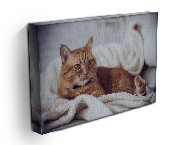 Large home fluffy ginger cat lying on the sofa Canvas Print or Poster - Canvas Art Rocks - 3
