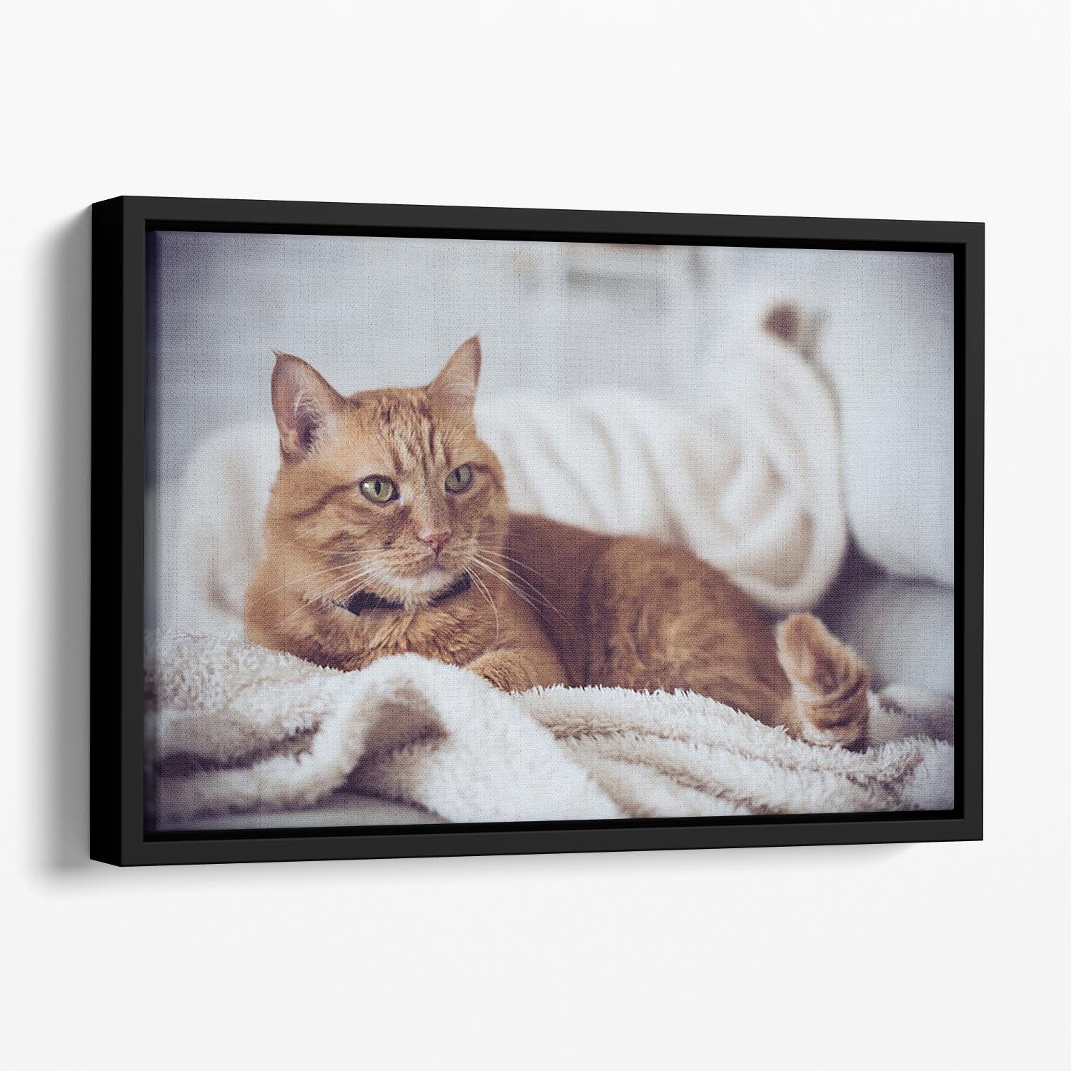 Large home fluffy ginger cat lying on the sofa Floating Framed Canvas - Canvas Art Rocks - 1