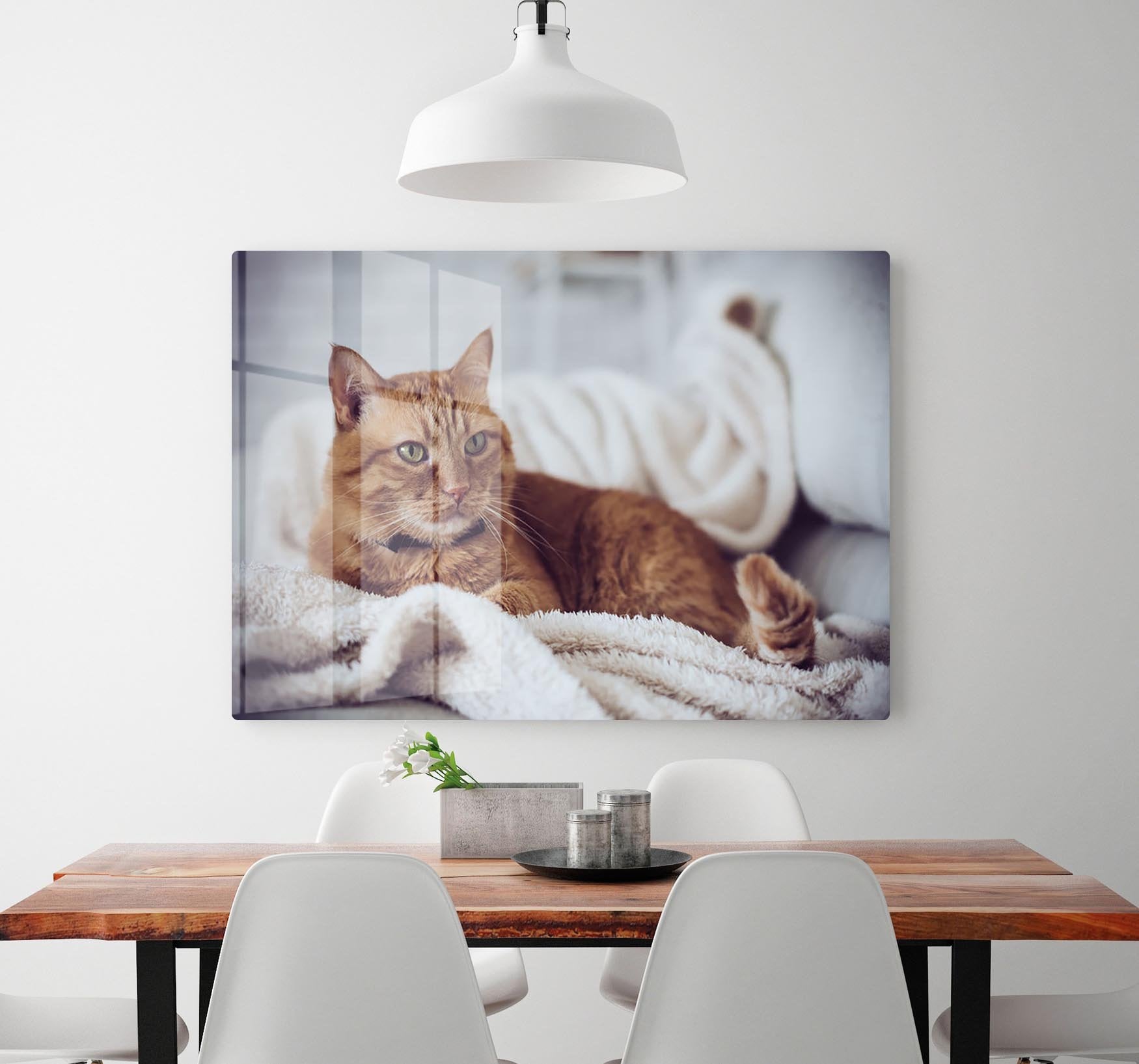 Large home fluffy ginger cat lying on the sofa HD Metal Print - Canvas Art Rocks - 2
