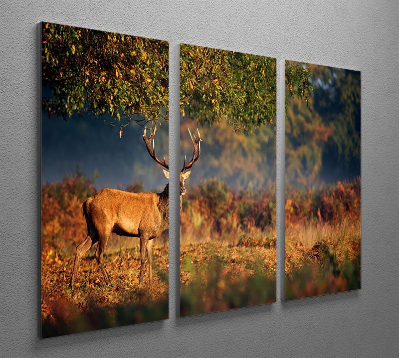 Large red deer stag in autumn 3 Split Panel Canvas Print - Canvas Art Rocks - 2