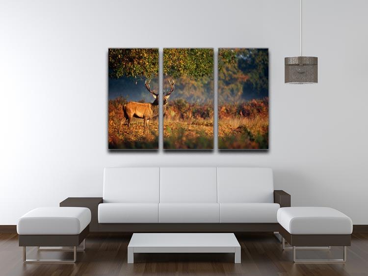 Large red deer stag in autumn 3 Split Panel Canvas Print - Canvas Art Rocks - 3