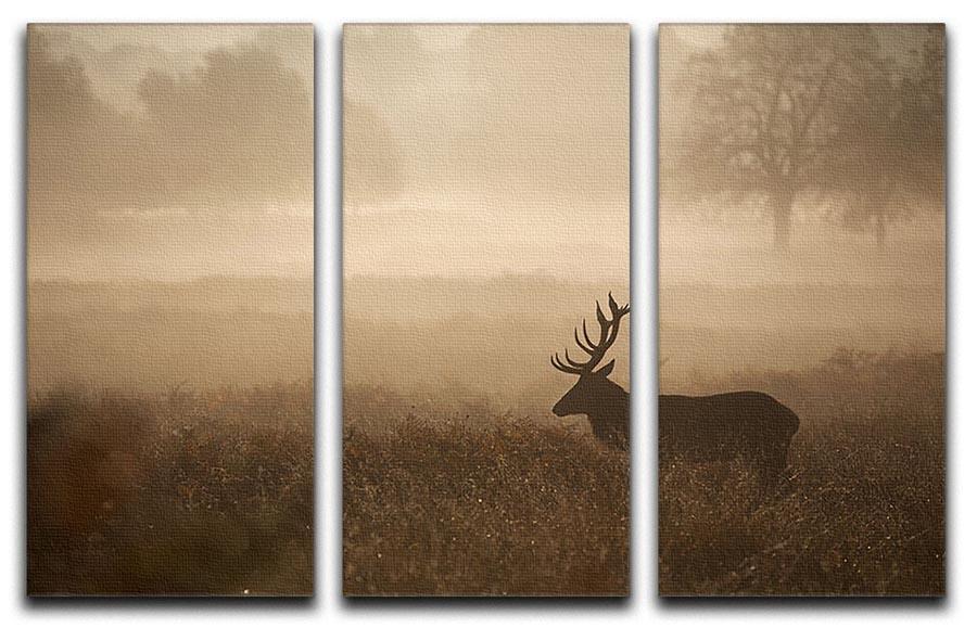 Large red deer stag in autumn mist 3 Split Panel Canvas Print - Canvas Art Rocks - 1