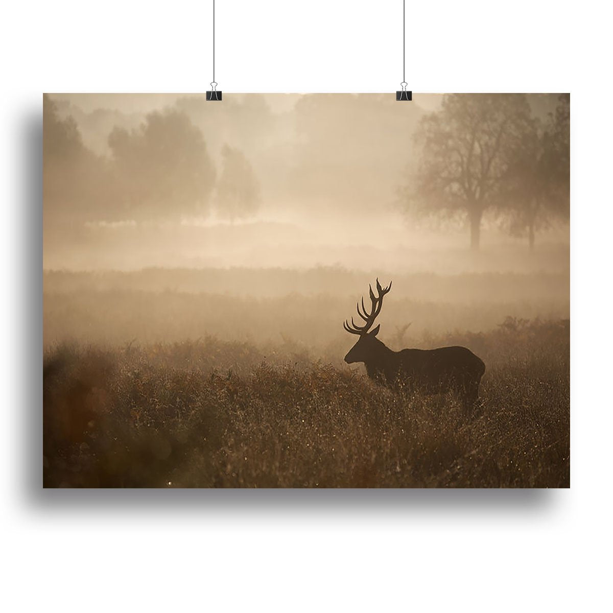 Large red deer stag in autumn mist Canvas Print or Poster