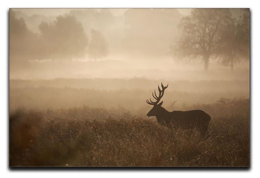 Large red deer stag in autumn mist Canvas Print or Poster - Canvas Art Rocks - 1